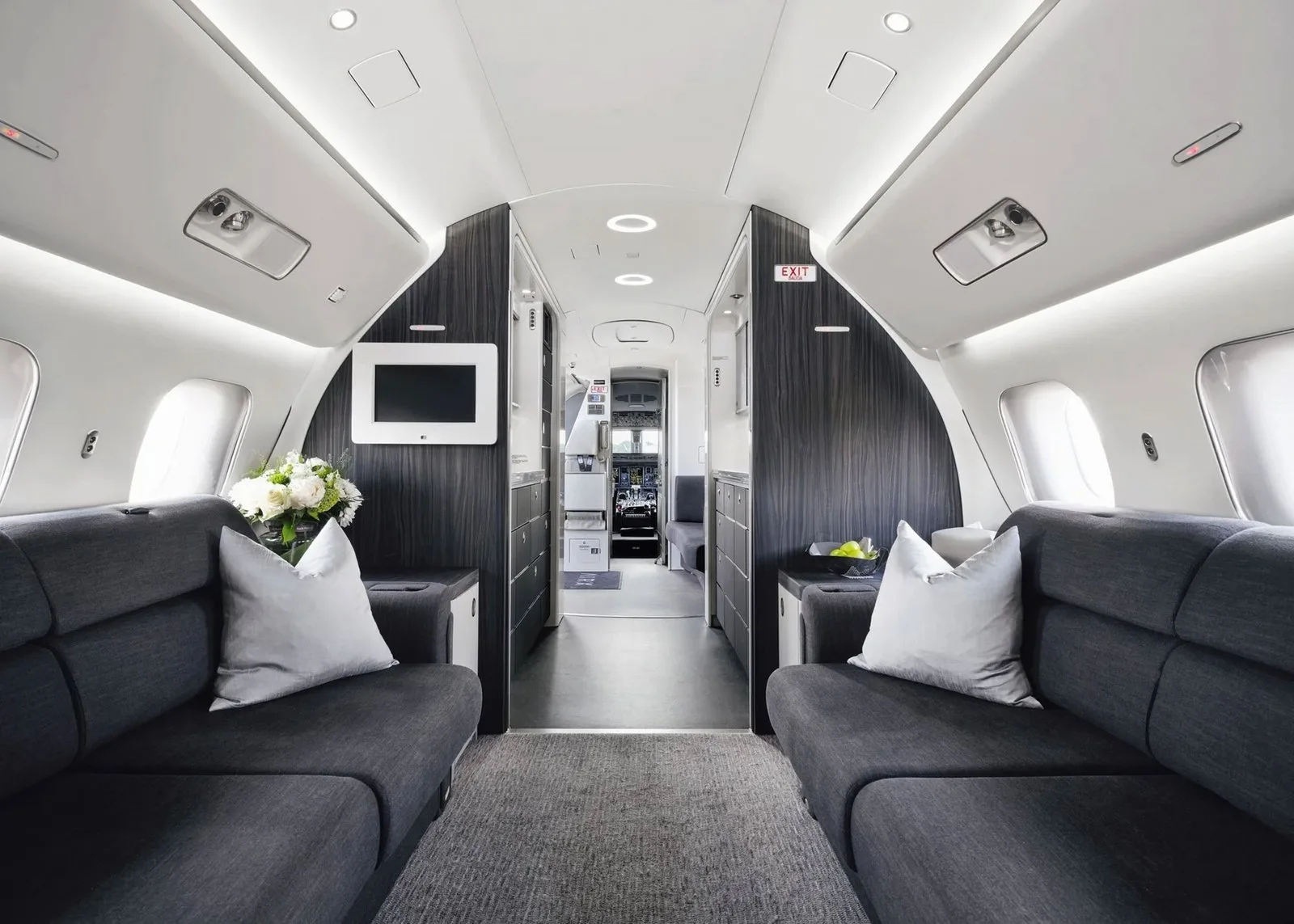 Private jet cabin interior