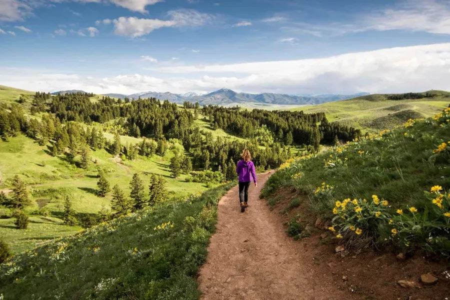 Hiking near Bozeman, Montana