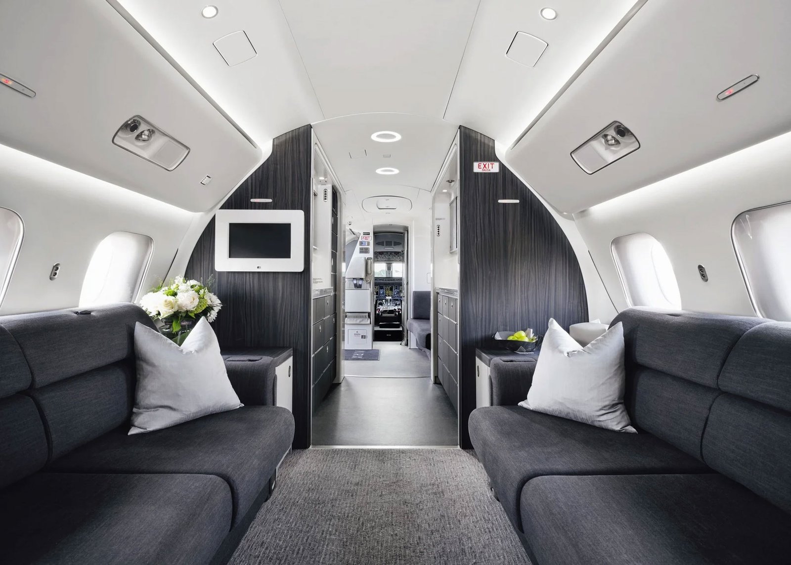 Private jet cabin interior